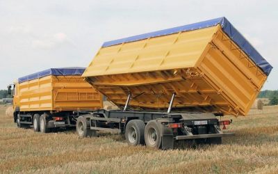 Услуги зерновозов для перевозки зерна - Белово, цены, предложения специалистов