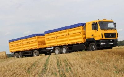 Транспорт для перевозки зерна. Автомобили МАЗ - Кемерово, заказать или взять в аренду