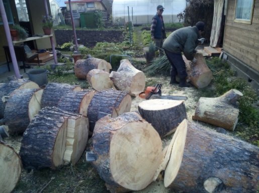 Спил и вырубка деревьев любой сложности стоимость услуг и где заказать - Новокузнецк