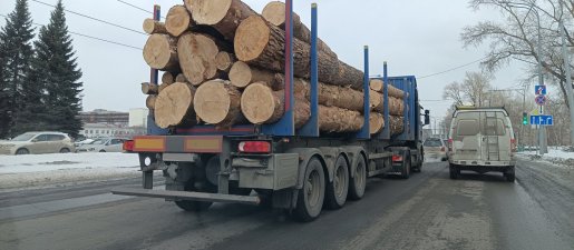 Поиск транспорта для перевозки леса, бревен и кругляка стоимость услуг и где заказать - Кемерово