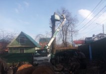Спил, кронирование и валка деревьев стоимость услуг и где заказать - Новокузнецк