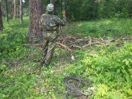 Спил и вырубка деревьев в Прокопьевске стоимость услуг и где заказать - Прокопьевск
